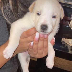 Meet your Posher, Mariana